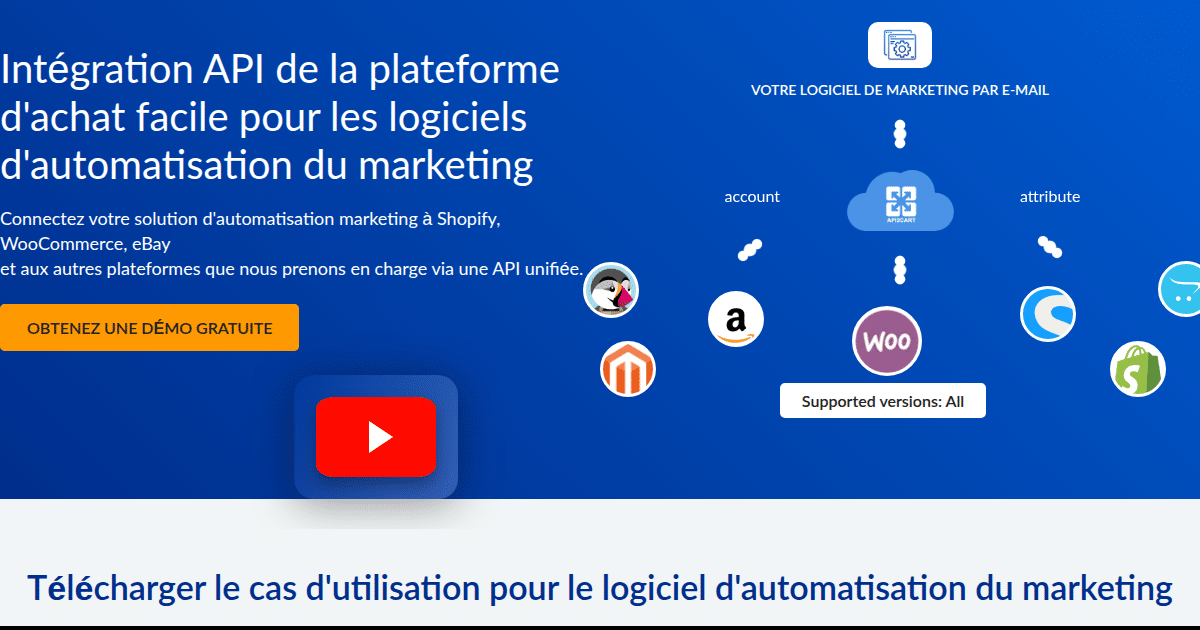 Intégration de l'API d'automatisation du marketing - API2Cart