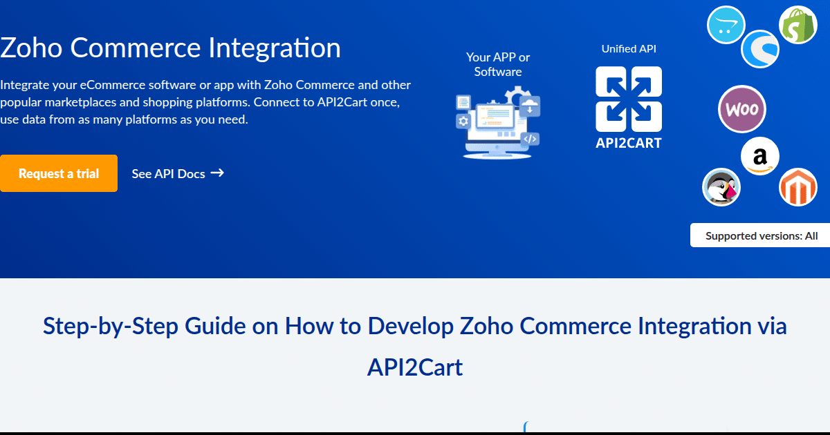 What is Zoho Integration and How to Develop It? - API2Cart