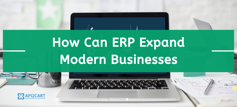 What is ERP Software and How Can It Expand Modern Businesses?
