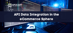 API Data Integration in the eCommerce Sphere - API2Cart