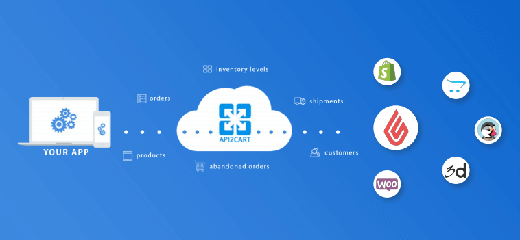 lightspeed onsite api vs cloud api