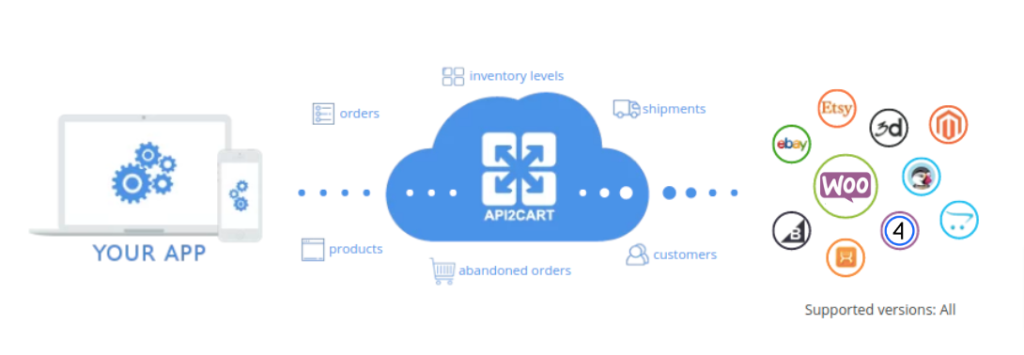 API-Integration