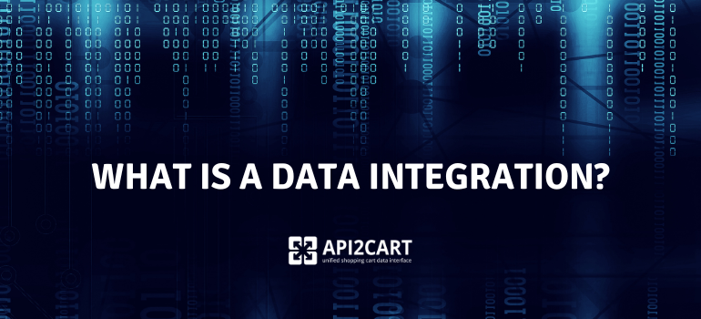 What is a Data Integration