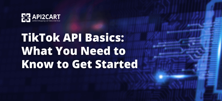 TikTok API Basics: What You Need to Know to Get Started